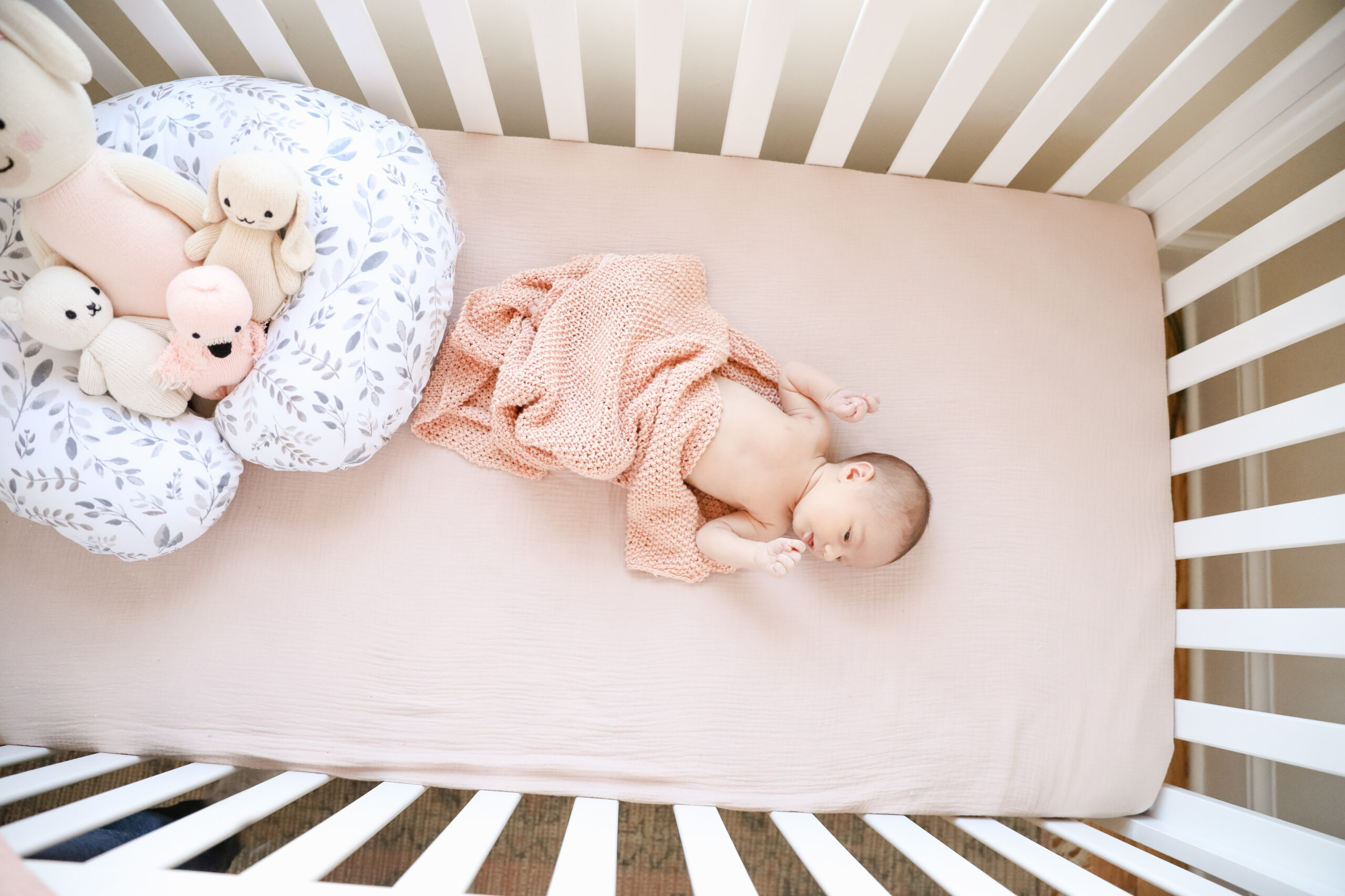newborn portrait in crib