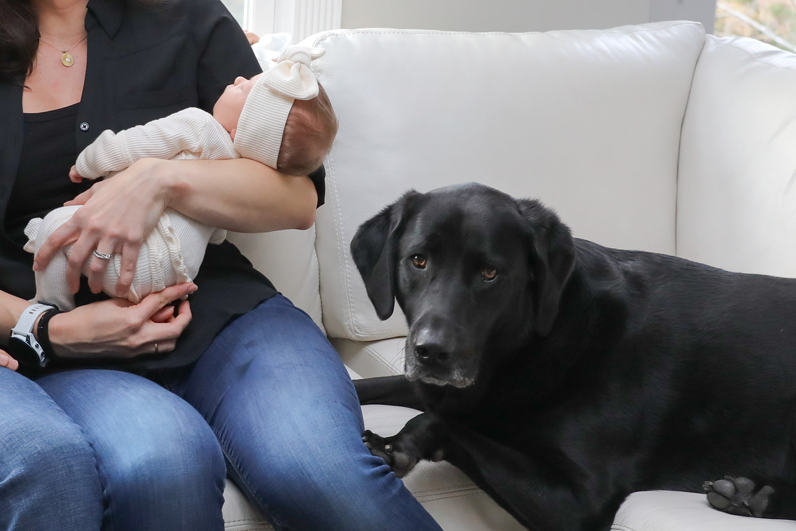 Newborn photo session with dog